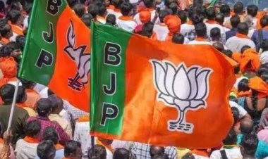 *मस्तूरी विधानसभा में सीपत, गतौरा, मल्हार सहित भाजपा पदाधिकारियों की सूची जारी!*