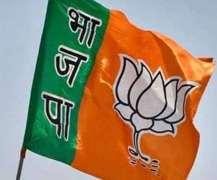 *नगर पंचायत उपाध्यक्ष के चयन के लिए पर्यवेक्षकों की सूची। बीजेपी ने इन नेताओं को दी चयन की जिम्मेदारी। देखिए लिस्ट*