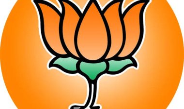 *भाजपा मंडल बोदरी और तिफरा सिरगिट्टी के पदाधिकारियों की सुची जारी*