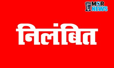 काम में लापरवाही बरतने पर सीएमओ सस्पेंड, इस नगर पालिका का है मामला*