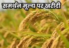 प्रदेश में 15 नवम्बर से समर्थन मूल्य पर धान खरीदी को लेकर तैयारियां पूरी