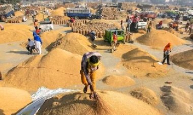 20 नवंबर को 9 लाख क्विंटल से अधिक धान खरीदा गया