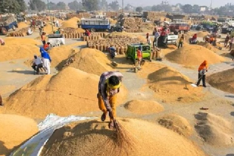 20 नवंबर को 9 लाख क्विंटल से अधिक धान खरीदा गया