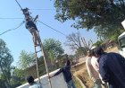 विद्युत विभाग का बड़ा एक्शन