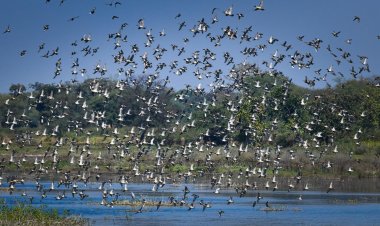 *जैवविविधता संरक्षण और जल-संरक्षण प्रयासों को मिली वैश्विक मान्यता*
