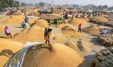 *पारदर्शी धान खरीदी व्यवस्था से वास्तविक किसानों के हितों की हो रही है रक्षा, हर पात्र किसान तक लाभ पहुँचाने का संकल्प सार्थक*