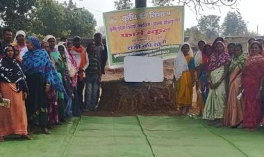 *35 एकड़ में रागी उत्पादन से बदली खेती की तस्वीर*