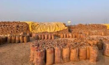 *12 हजार क्विंटल से अधिक धान जब्त*