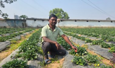 उद्यानिकी खेती से बदली किसान की आर्थिक तस्वीर