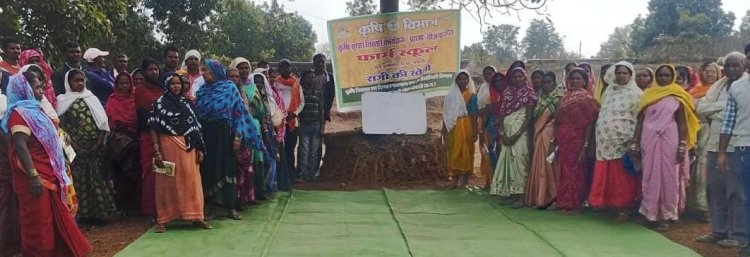 *35 एकड़ में रागी उत्पादन से बदली खेती की तस्वीर*