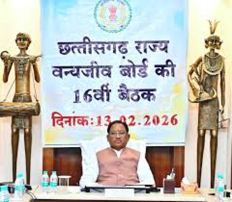 *वन्यजीवों के प्राकृतिक आवास की सुरक्षा और सह-अस्तित्व के सिद्धांतों के अनुरूप हो सभी गतिविधियों का संचालन : मुख्यमंत्री श्री साय*