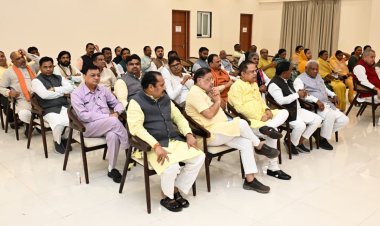 *अफीम की अवैध खेती पर मुख्यमंत्री श्री विष्णु देव साय का कड़ा रुख*