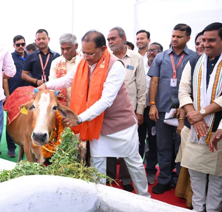 राज्य में गोधन संरक्षण को नई दिशा : गोमाता की पूजा-अर्चना कर मुख्यमंत्री श्री विष्णु देव साय ने ग्राम लाखासार में गौधाम का किया शुभारंभ