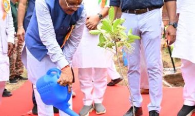 *तेंदूपत्ते से समृद्धि, तीखुर से आत्मनिर्भरता : बड़ेकनेरा में वनाधारित आजीविका का सशक्त मॉडल बना प्रेरणा*