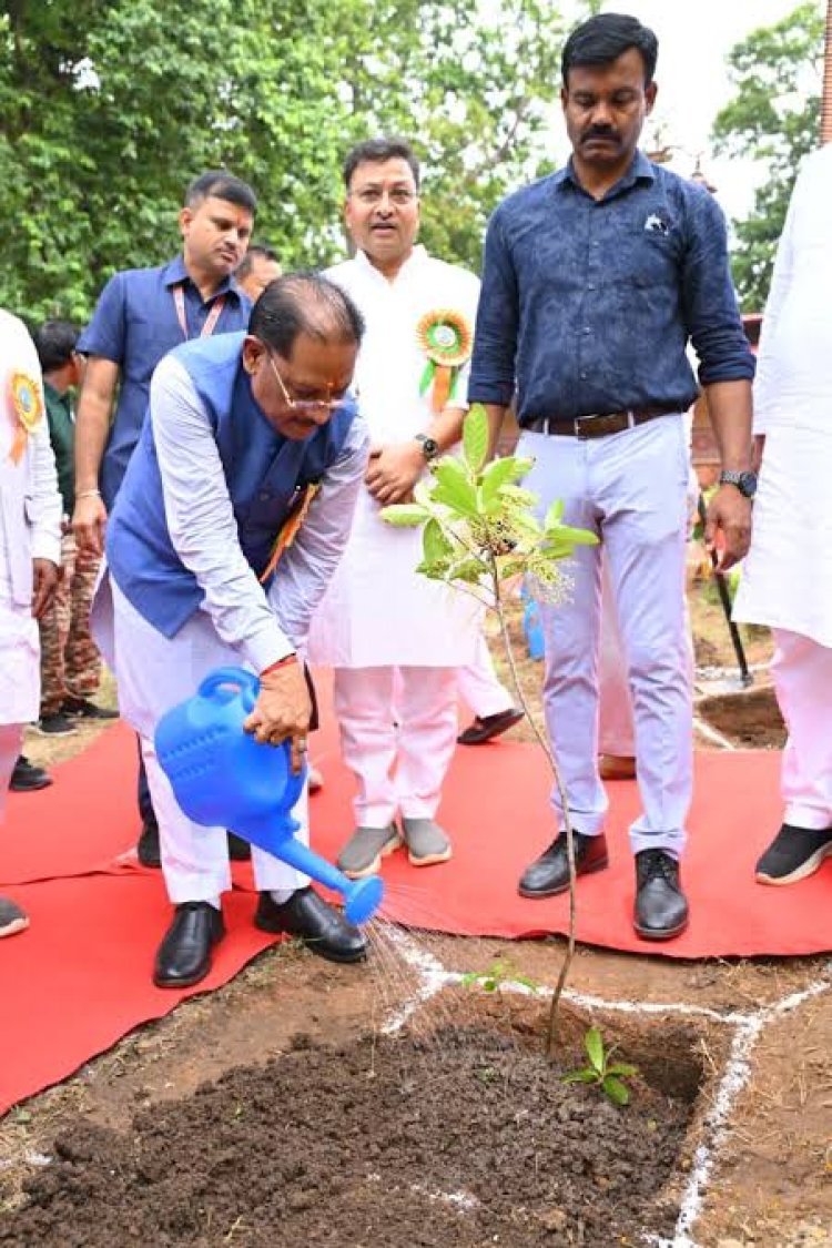 *तेंदूपत्ते से समृद्धि, तीखुर से आत्मनिर्भरता : बड़ेकनेरा में वनाधारित आजीविका का सशक्त मॉडल बना प्रेरणा*